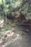 Auxier Ridge Trail.JPG (32017 bytes)