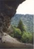 Alum Cave Bluff trail.JPG (28551 bytes)