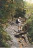 Reid - Alum Cave Bluff trail.JPG (50438 bytes)