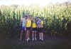 Group by corn.JPG (43827 bytes)