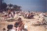On the beach.JPG (38566 bytes)