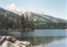 Taggart Lake.JPG (31044 bytes)
