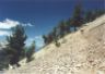 Avalanche Peak trail2.JPG (38973 bytes)